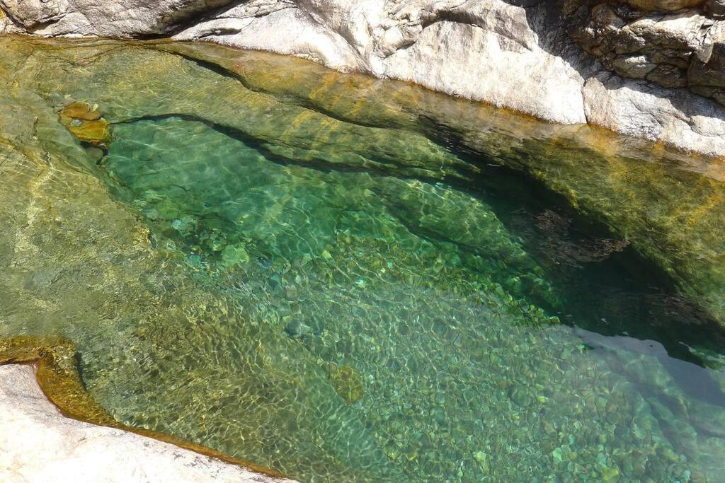 Le Capu Biancu-Location Avec Vue Proche Des Gorges De L Asco Entre Mer Et Montagne Moltifao 외부 사진