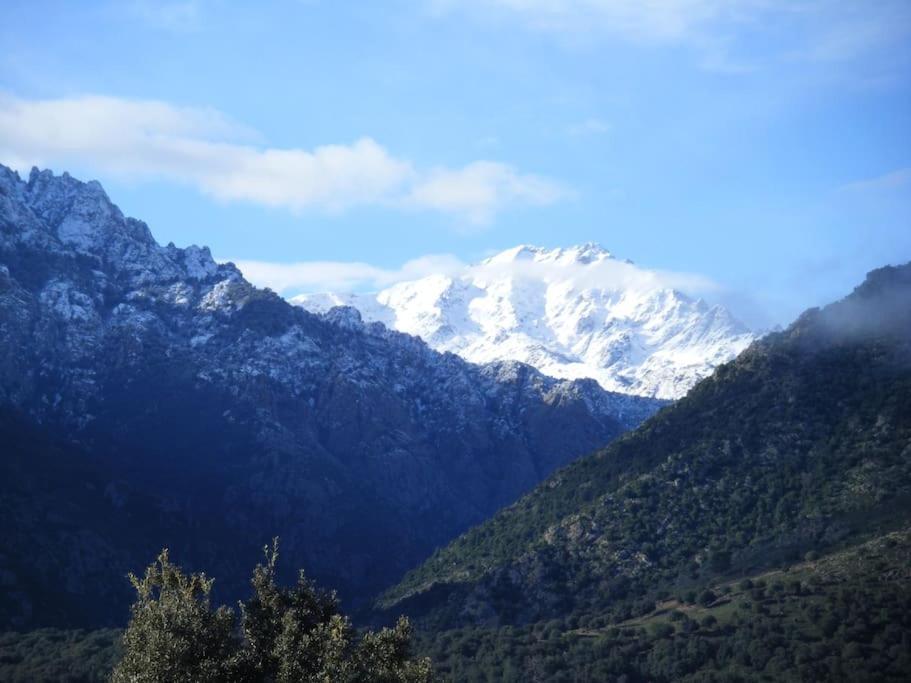 Le Capu Biancu-Location Avec Vue Proche Des Gorges De L Asco Entre Mer Et Montagne Moltifao 외부 사진